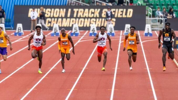 UT-track-1280x640